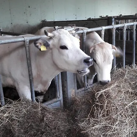 La Soglia Del Parco Farm stay *