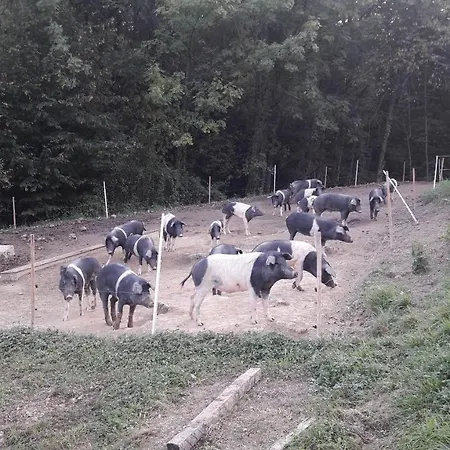 Farm stay La Soglia Del Parco *